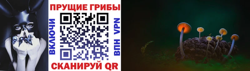 Галлюциногенные грибы Cubensis OMG ONION Макарьев дарнет шоп